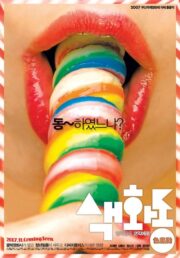 Pornmaking for Dummies izle